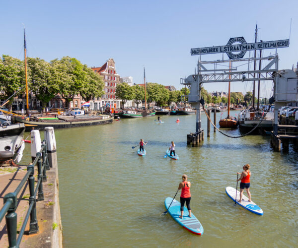 sup les in dordrecht sup les in dordrecht